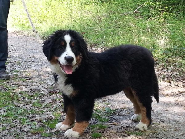 Asta als Baby