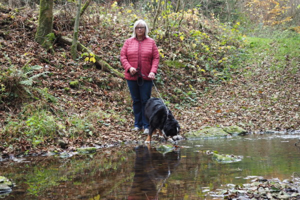 Herbstimpressionen 4