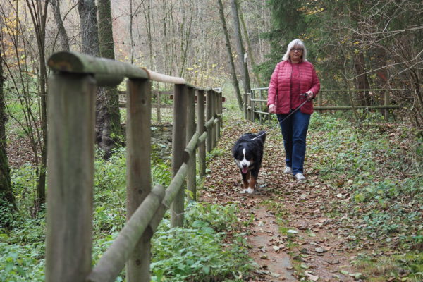 Herbstimpressionen 3